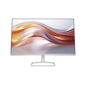 HP Ecran 18.5 Inch Model P19B